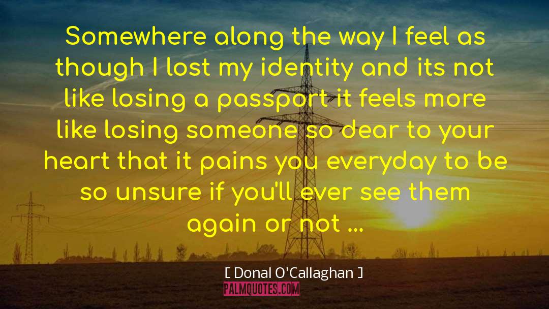 Losing Your Soulmate quotes by Donal O'Callaghan