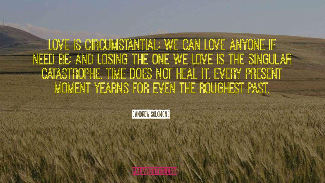 Loss Love quotes by Andrew Solomon