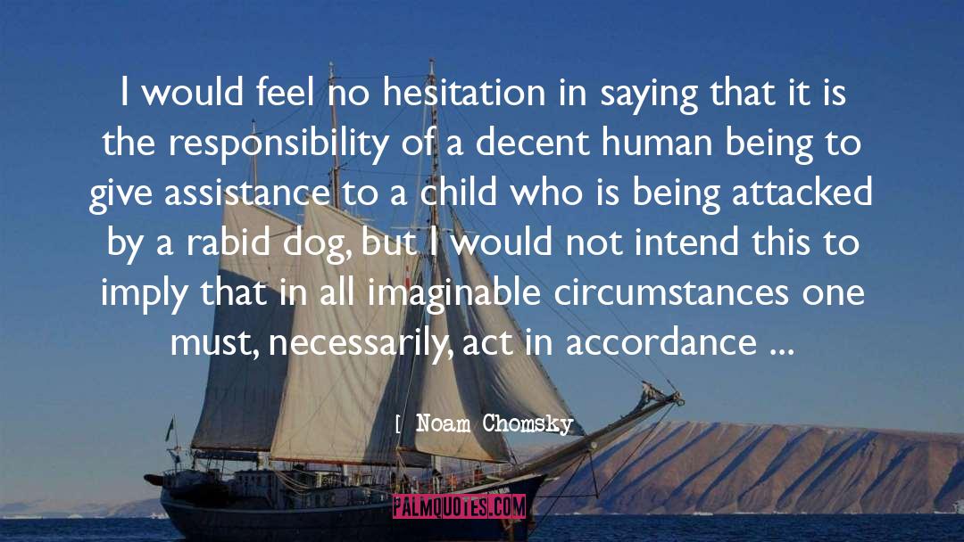 Loss Of A Child quotes by Noam Chomsky