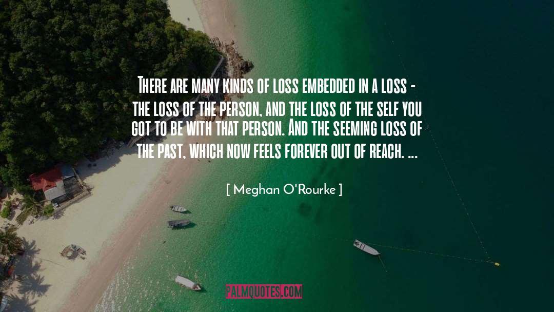 Loss Of Friends Father quotes by Meghan O'Rourke