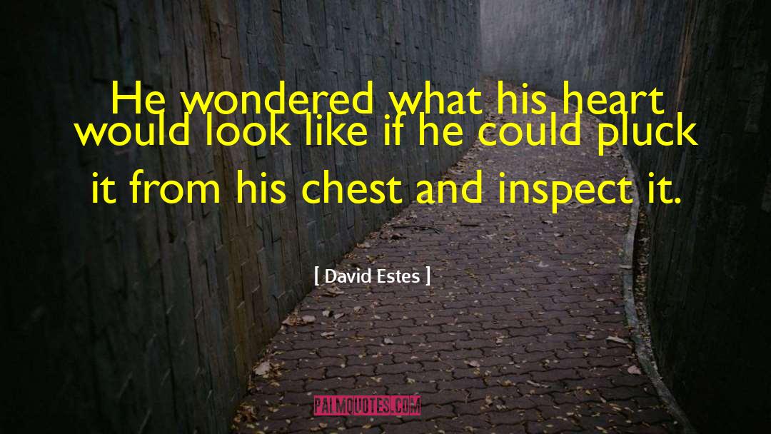 Loss Of Innocence quotes by David Estes
