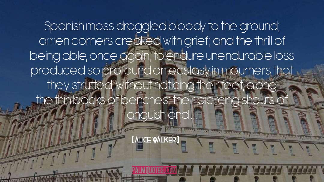 Loss Of Originality quotes by Alice Walker