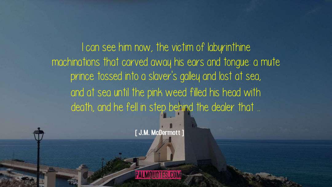 Lost At Sea quotes by J.M. McDermott