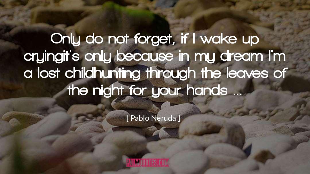 Lost Child quotes by Pablo Neruda