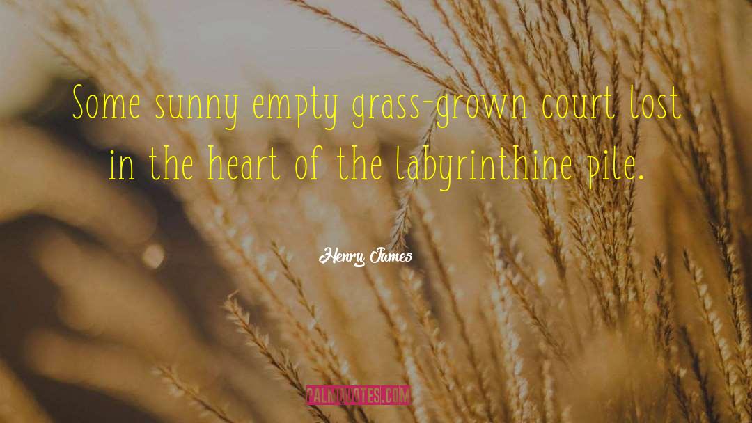 Lost Country quotes by Henry James