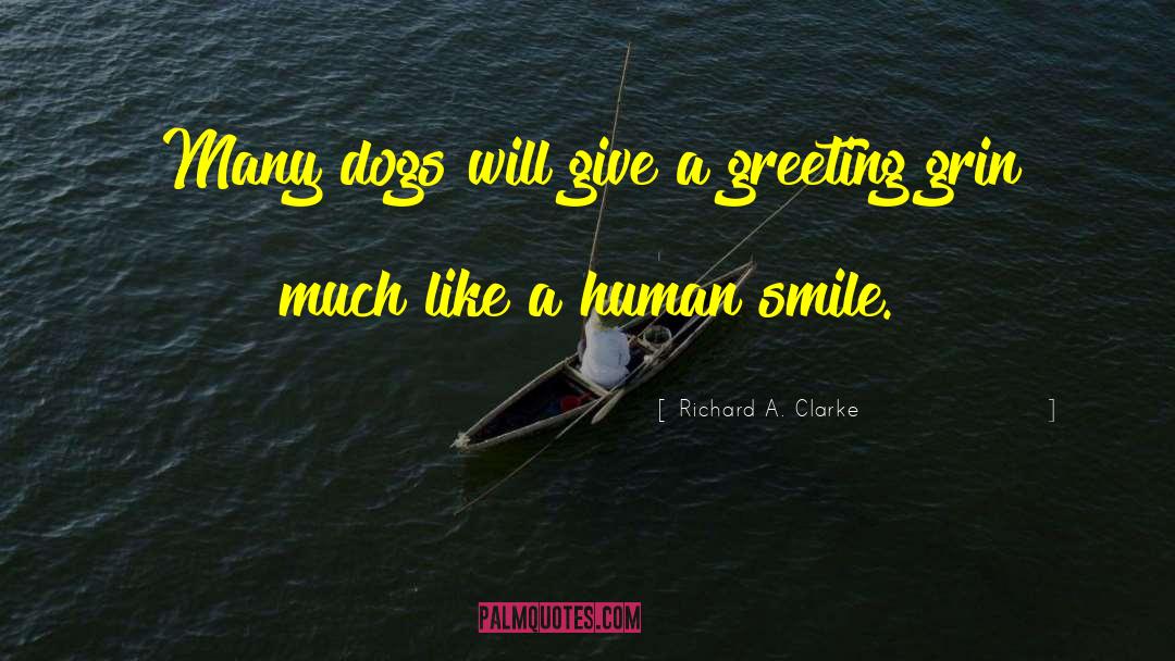 Lost Dog quotes by Richard A. Clarke
