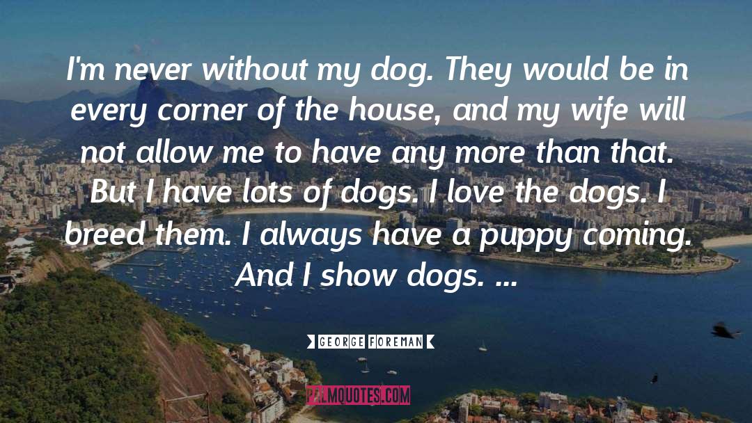 Lost Dog quotes by George Foreman