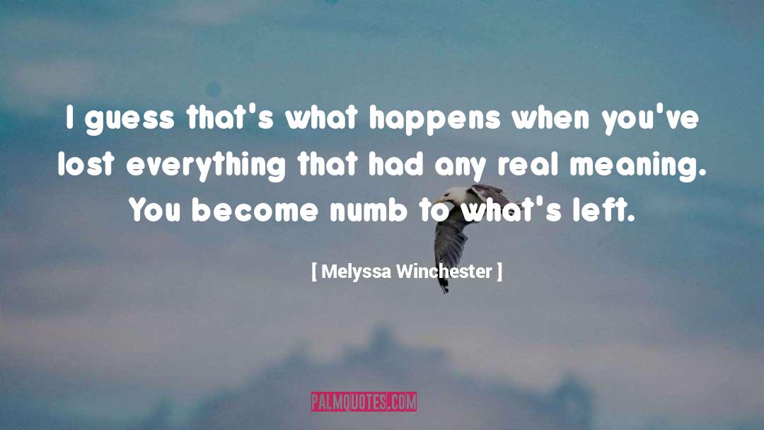 Lost Everything quotes by Melyssa Winchester