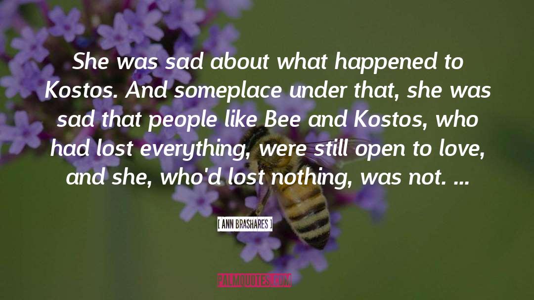 Lost Everything quotes by Ann Brashares