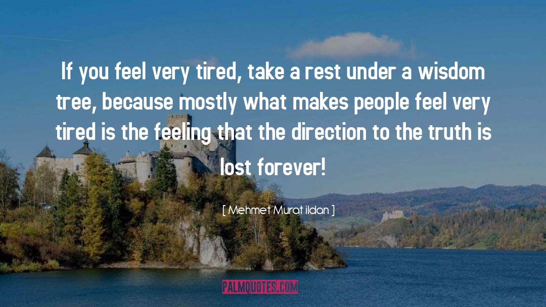 Lost Forever quotes by Mehmet Murat Ildan