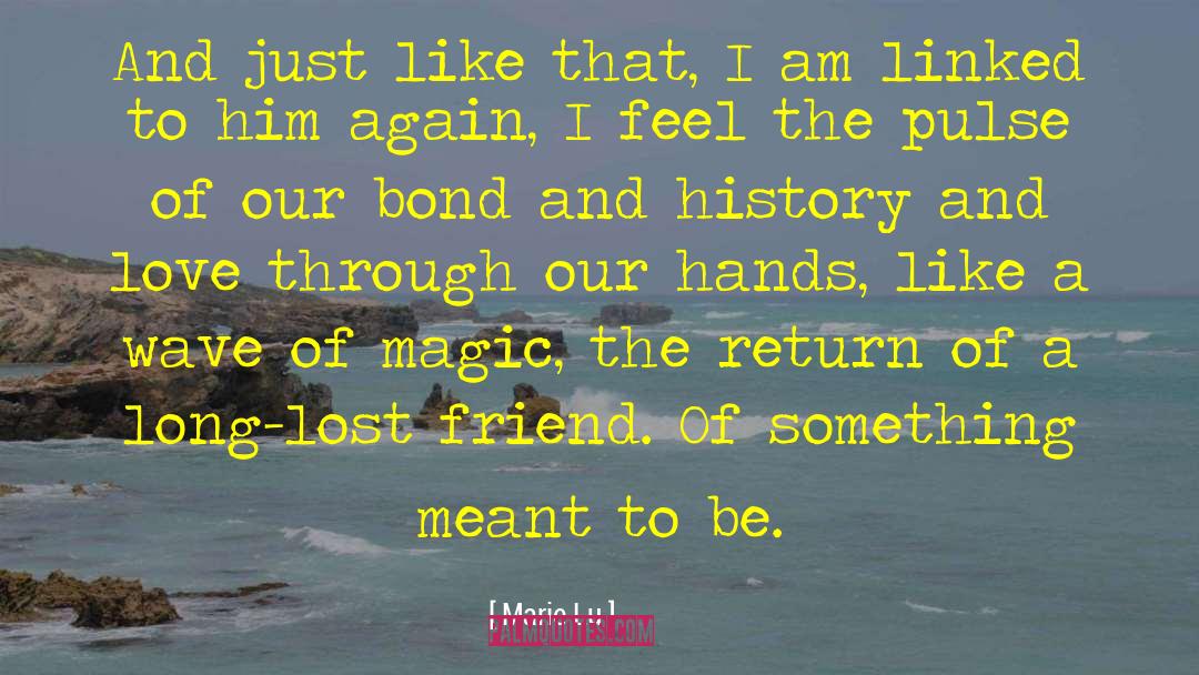 Lost Friend quotes by Marie Lu
