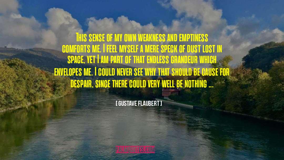 Lost In Space quotes by Gustave Flaubert