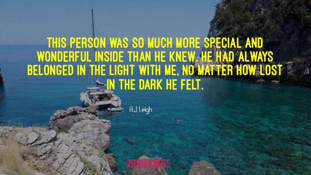 Lost In The Dark quotes by A.J. Leigh