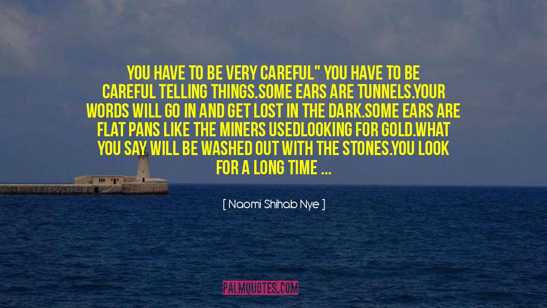 Lost In The Dark quotes by Naomi Shihab Nye