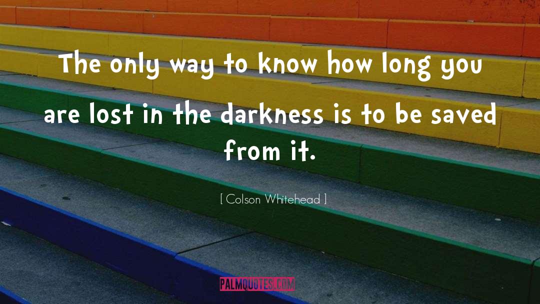 Lost In The Darkness quotes by Colson Whitehead