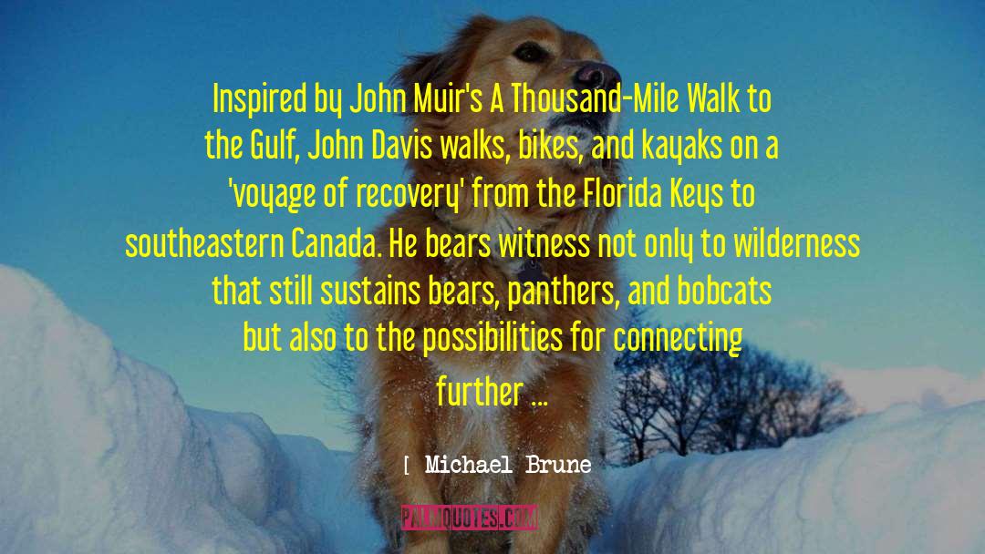 Lost In The Wilderness quotes by Michael Brune