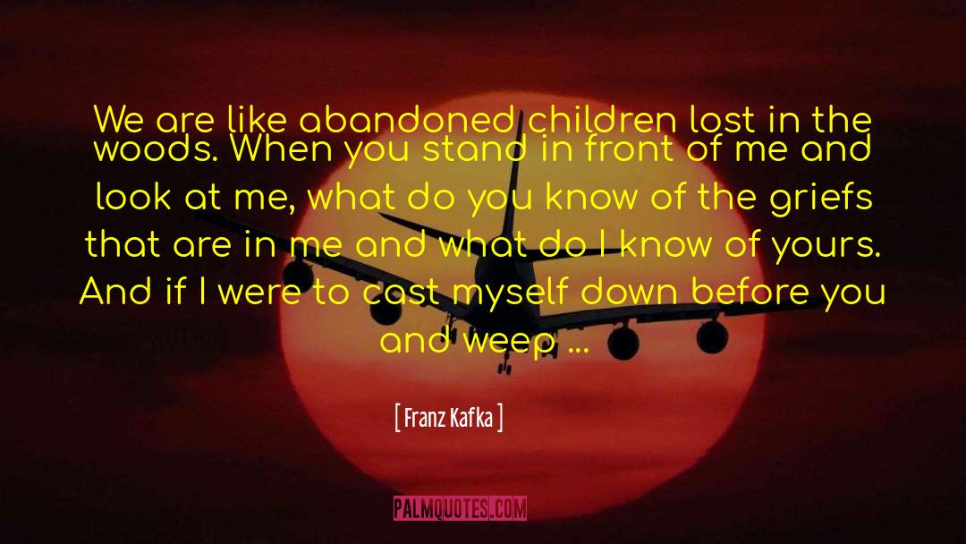 Lost In The Woods quotes by Franz Kafka