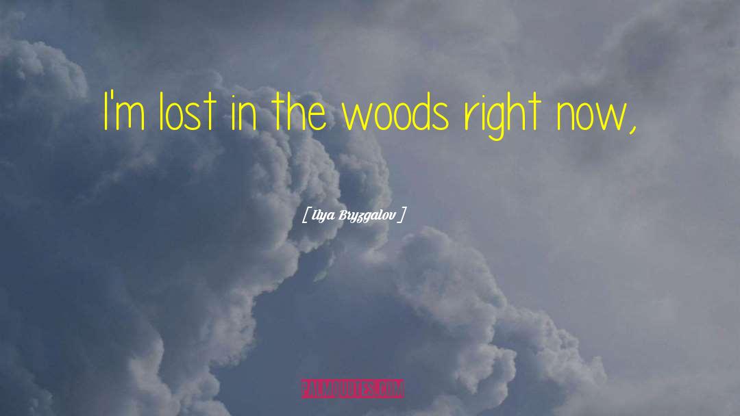 Lost In The Woods quotes by Ilya Bryzgalov