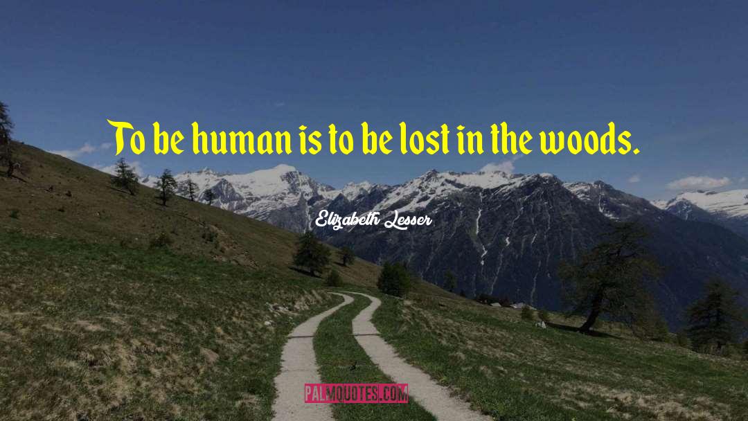 Lost In The Woods quotes by Elizabeth Lesser