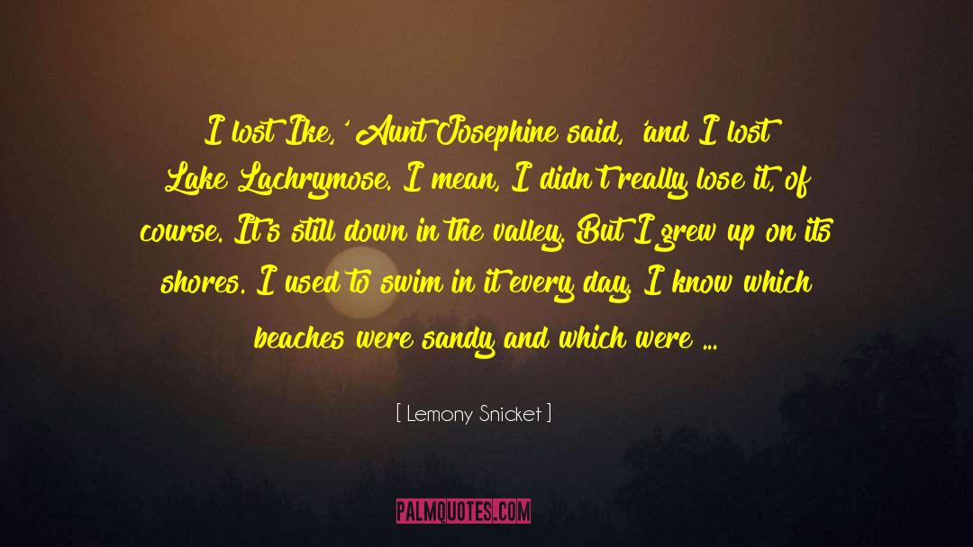 Lost Lake quotes by Lemony Snicket