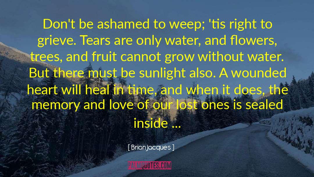 Lost Lover quotes by Brian Jacques