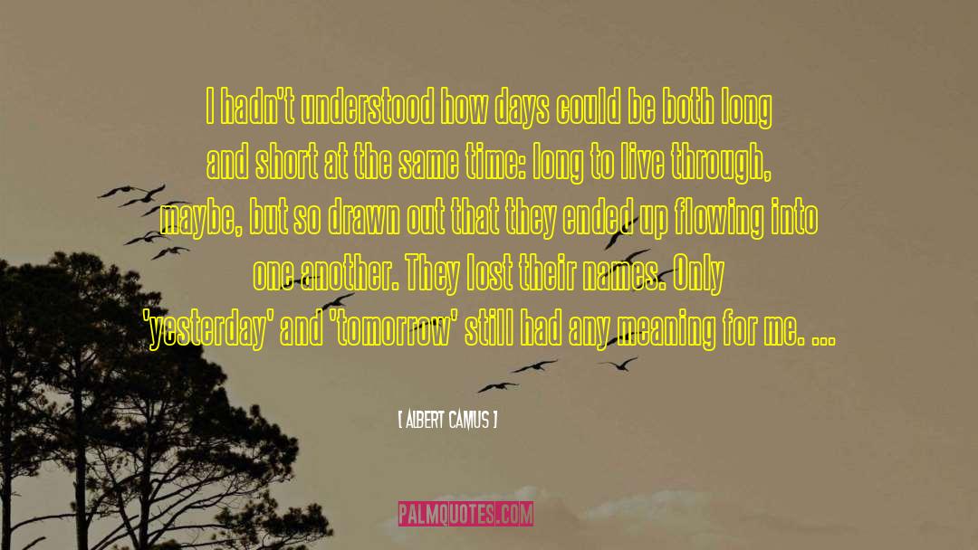 Lost Luggage quotes by Albert Camus