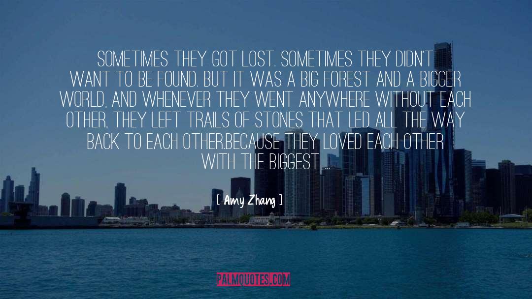 Lost Memories quotes by Amy Zhang