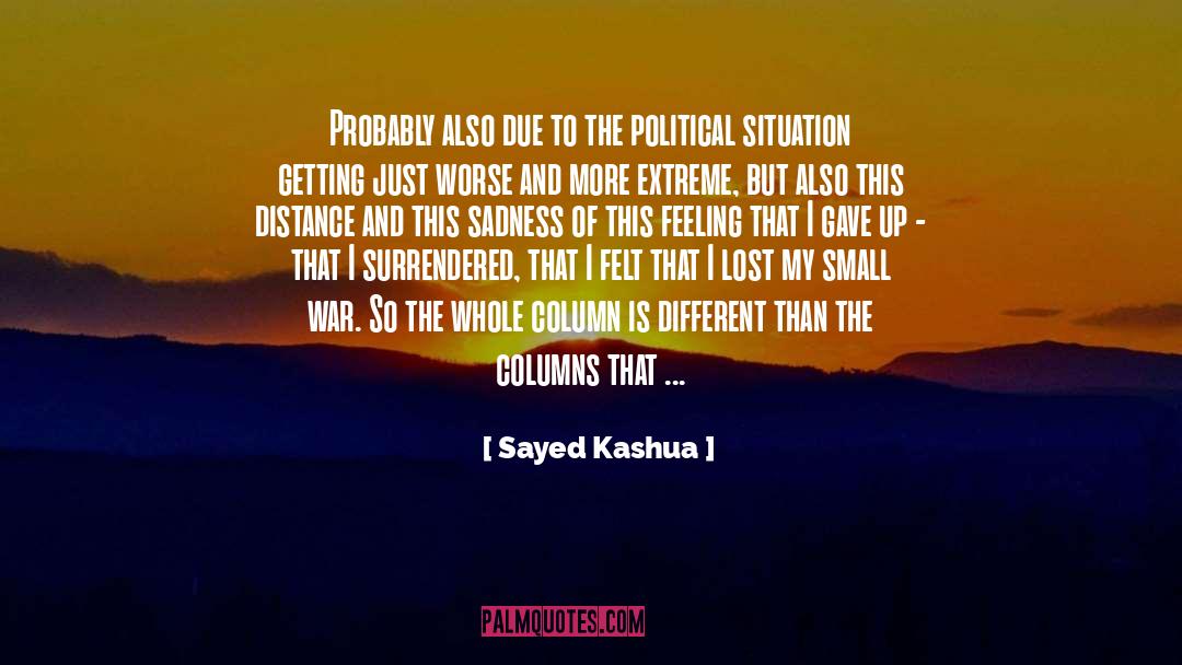 Lost My Sanity quotes by Sayed Kashua