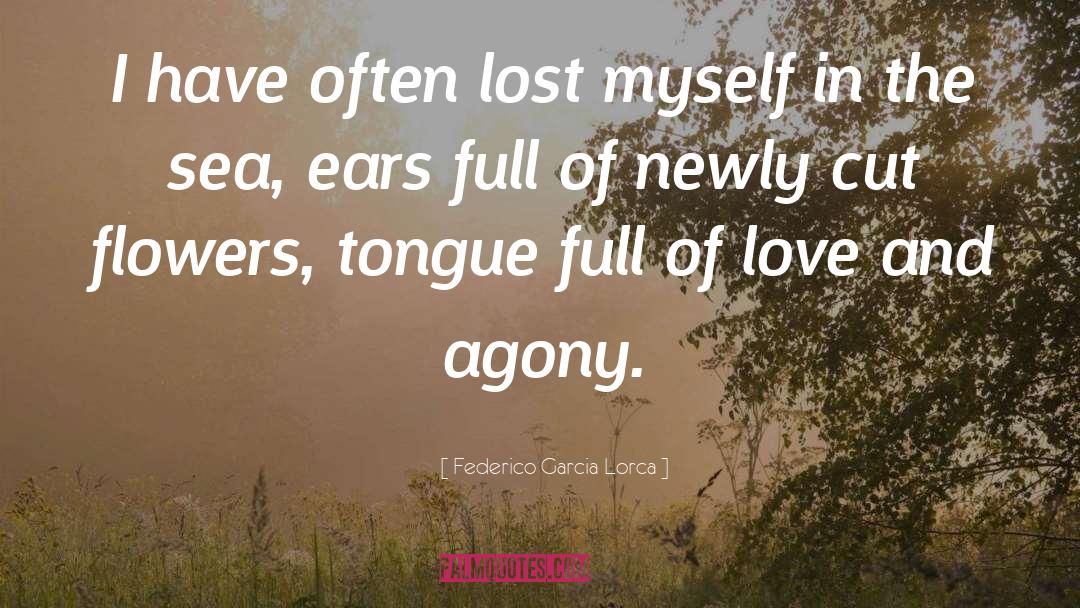 Lost Myself quotes by Federico Garcia Lorca
