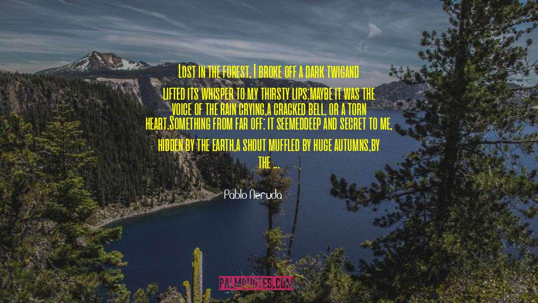 Lost Myself quotes by Pablo Neruda