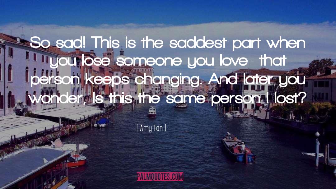 Lost Someone quotes by Amy Tan