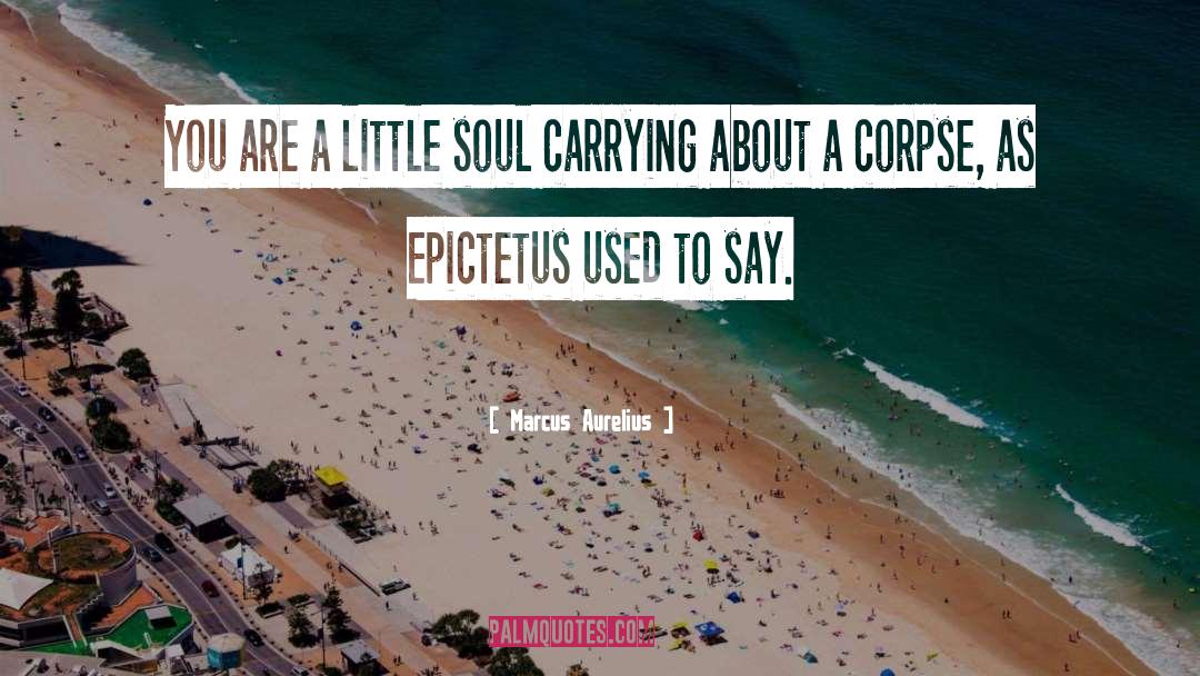 Lost Soul quotes by Marcus Aurelius