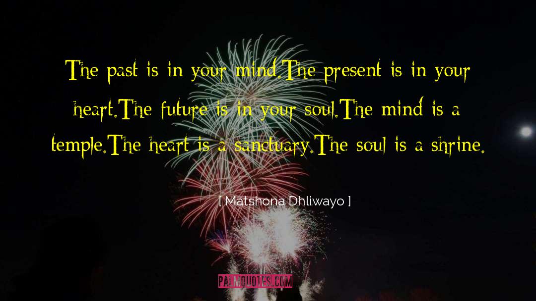 Lost Soul quotes by Matshona Dhliwayo