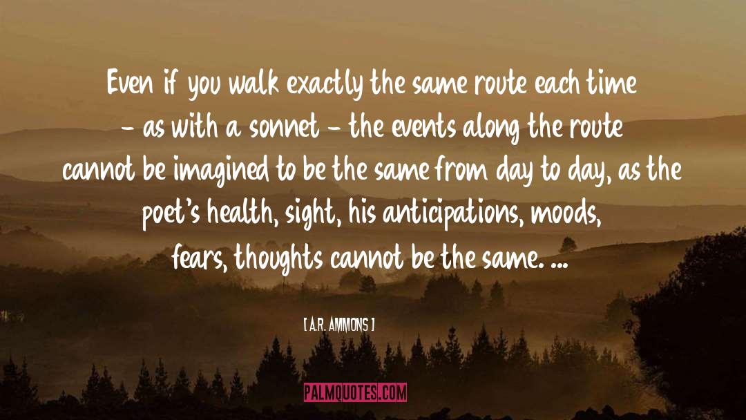 Lost Thoughts quotes by A.R. Ammons