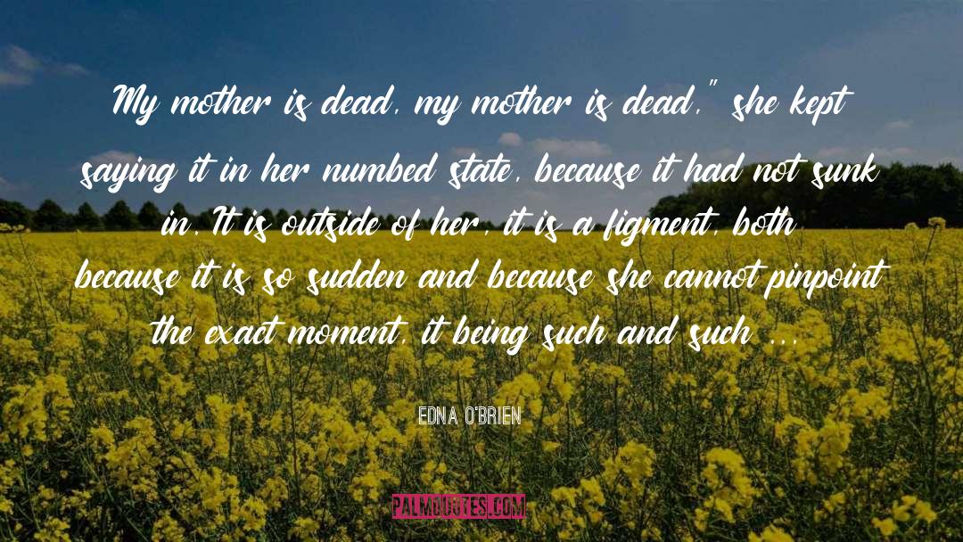 Lost Time quotes by Edna O'Brien