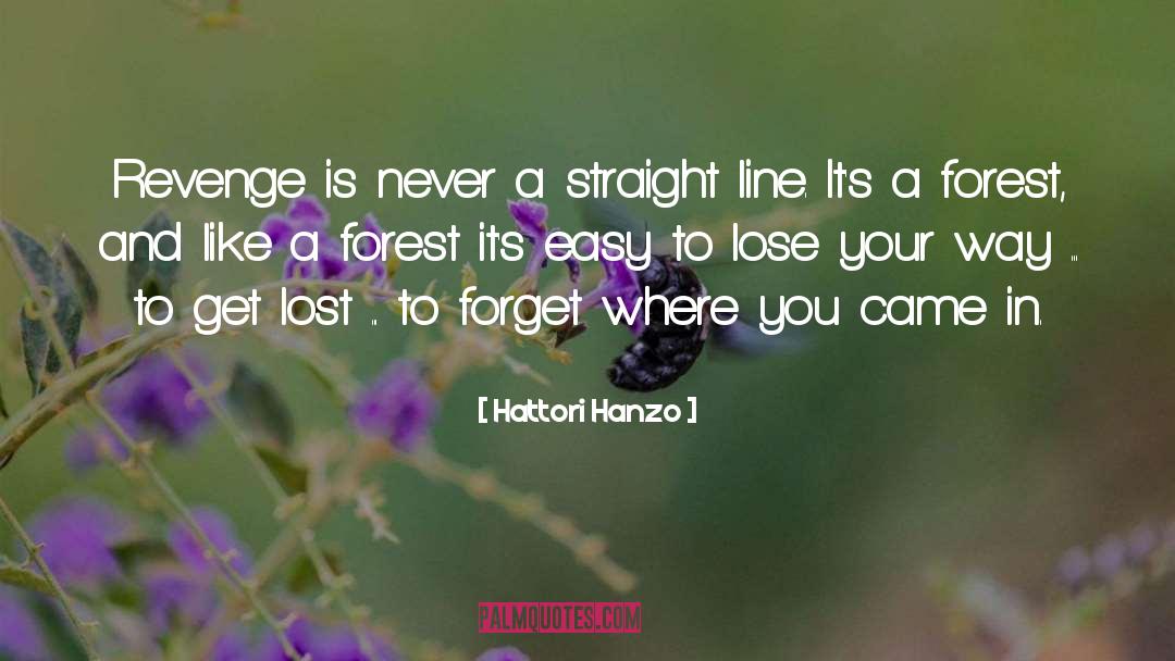 Lost Way quotes by Hattori Hanzo