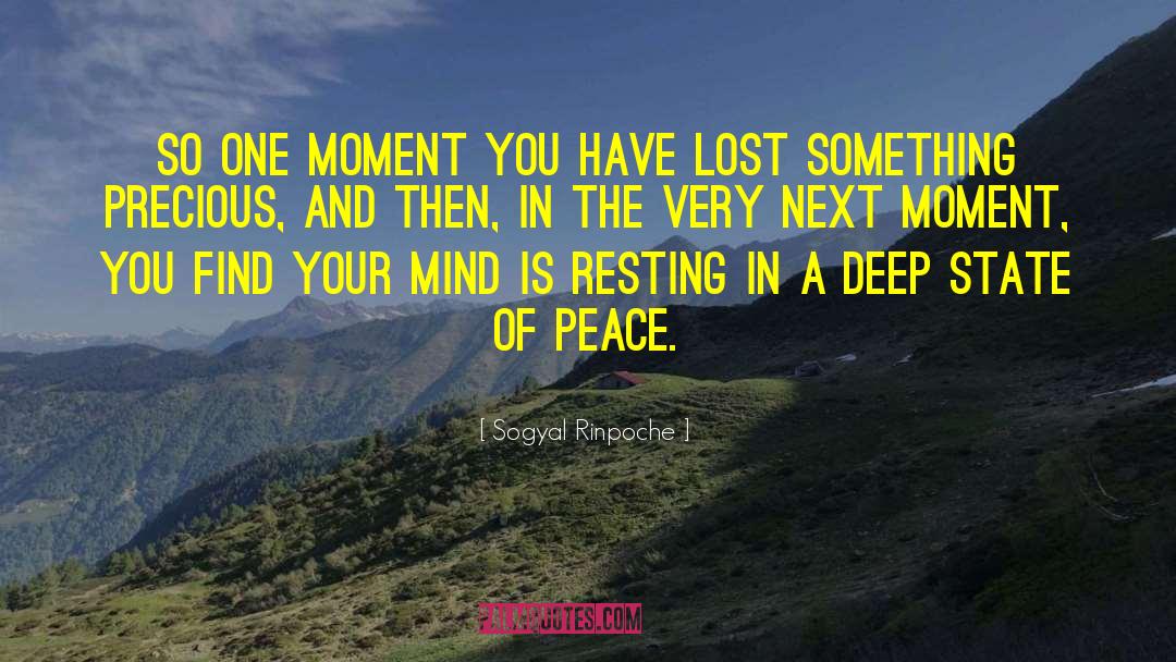 Lost Your Way quotes by Sogyal Rinpoche