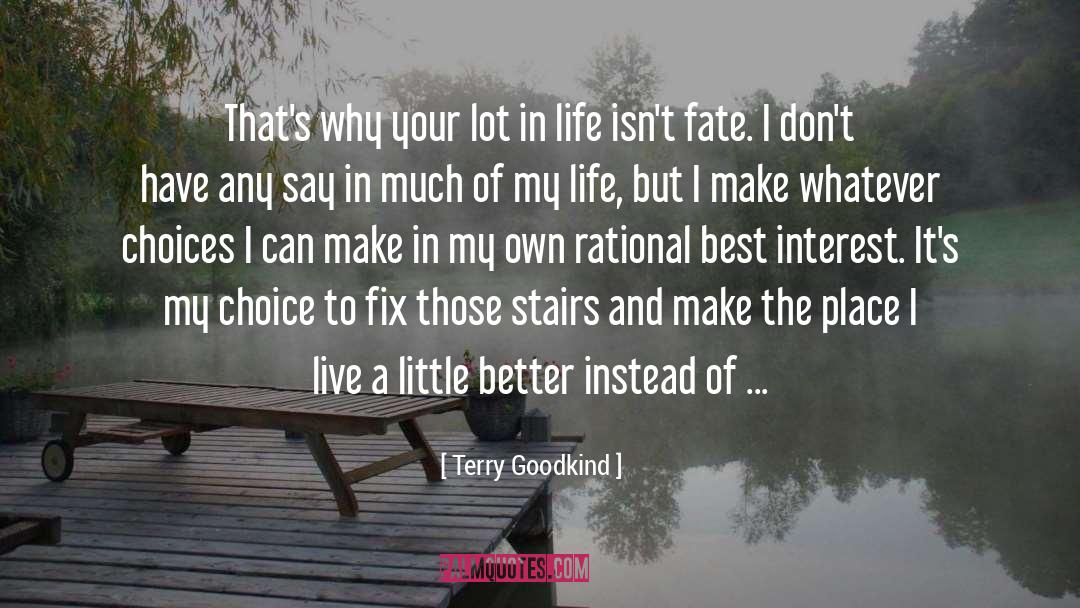 Lot In Life quotes by Terry Goodkind