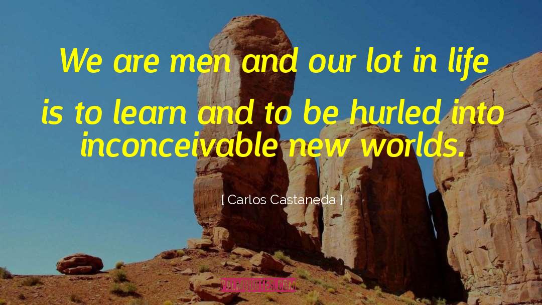 Lot In Life quotes by Carlos Castaneda