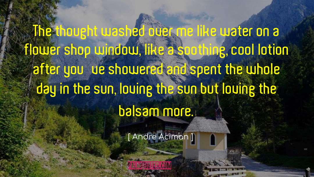 Lotion quotes by Andre Aciman