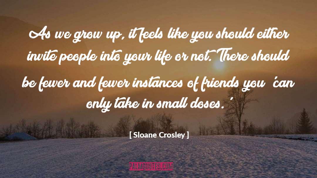 Lots Of Friends quotes by Sloane Crosley