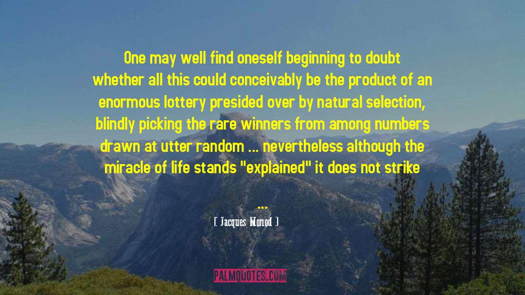 Lottery Ticket quotes by Jacques Monod