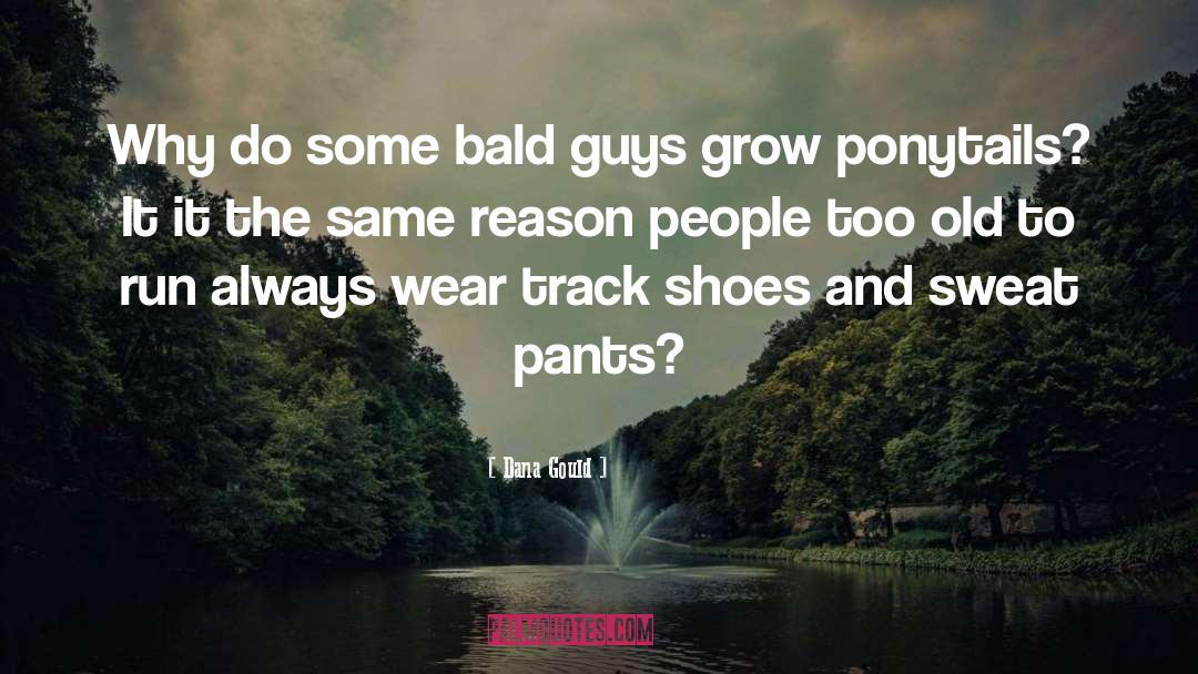 Lottini Shoes quotes by Dana Gould