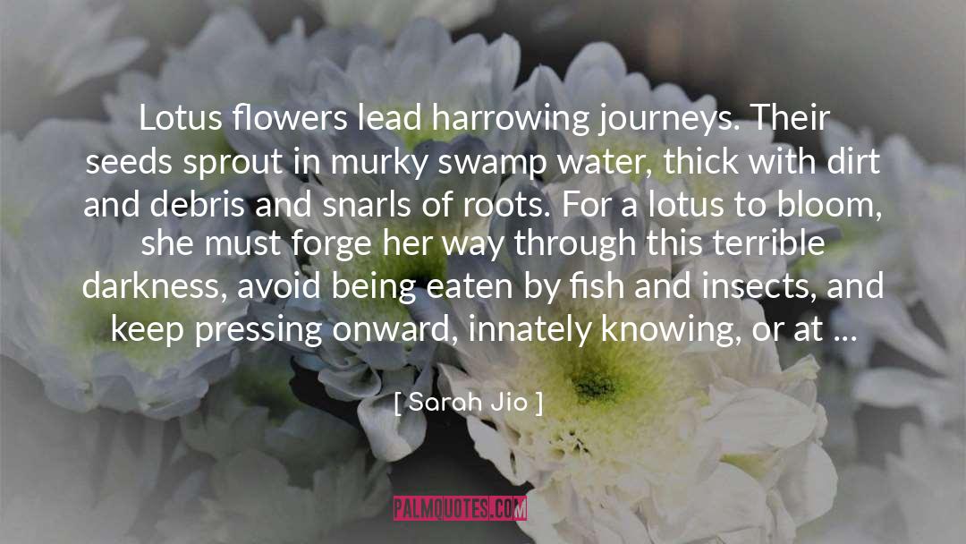 Lotus Flower quotes by Sarah Jio