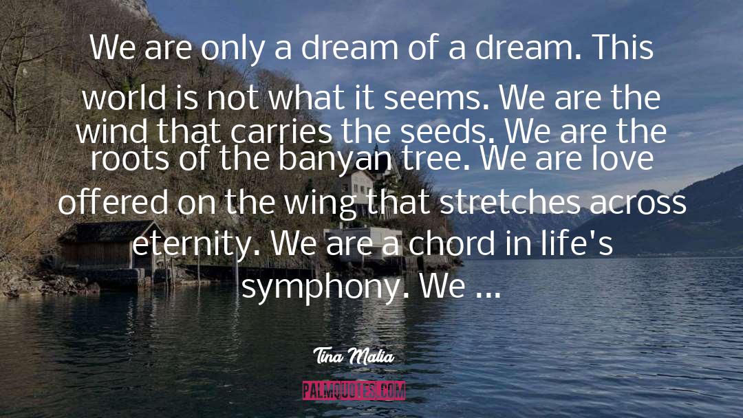 Lotus Seeds quotes by Tina Malia