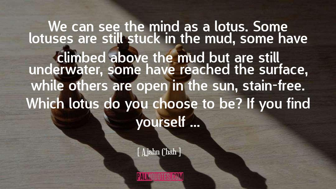Lotuses quotes by Ajahn Chah