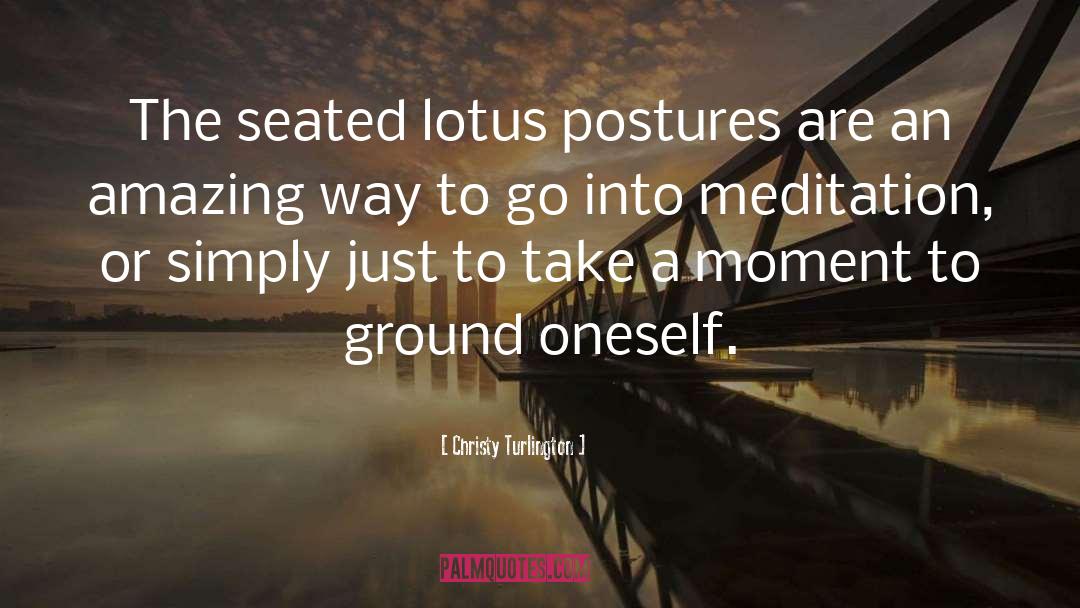 Lotuses quotes by Christy Turlington