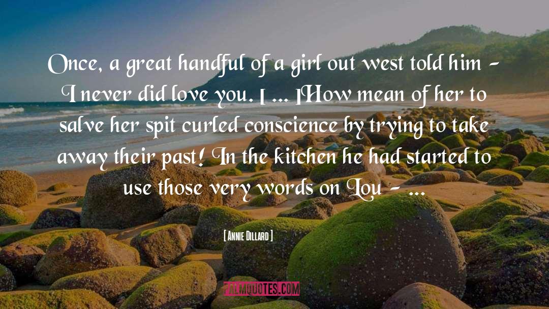 Lou quotes by Annie Dillard