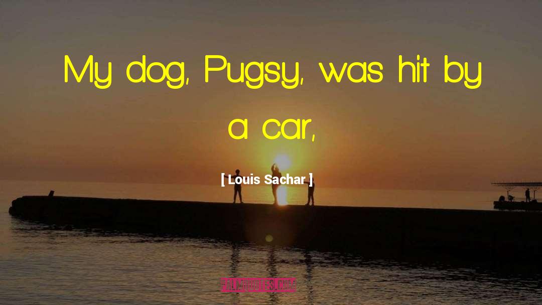 Louis Gara quotes by Louis Sachar