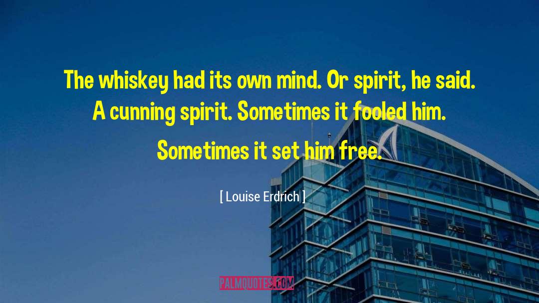 Louise Alcott quotes by Louise Erdrich